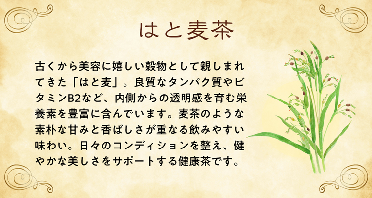 古くから美容に嬉しい穀物として親しまれてきた「はと麦」。良質なタンパク質やビタミンB2など、内側からの透明感を育む栄養素を豊富に含んでいます。麦茶のような素朴な甘みと香ばしさが重なる飲みやすい味わい。日々のコンディションを整え、健やかな美しさをサポートする健康茶です。
