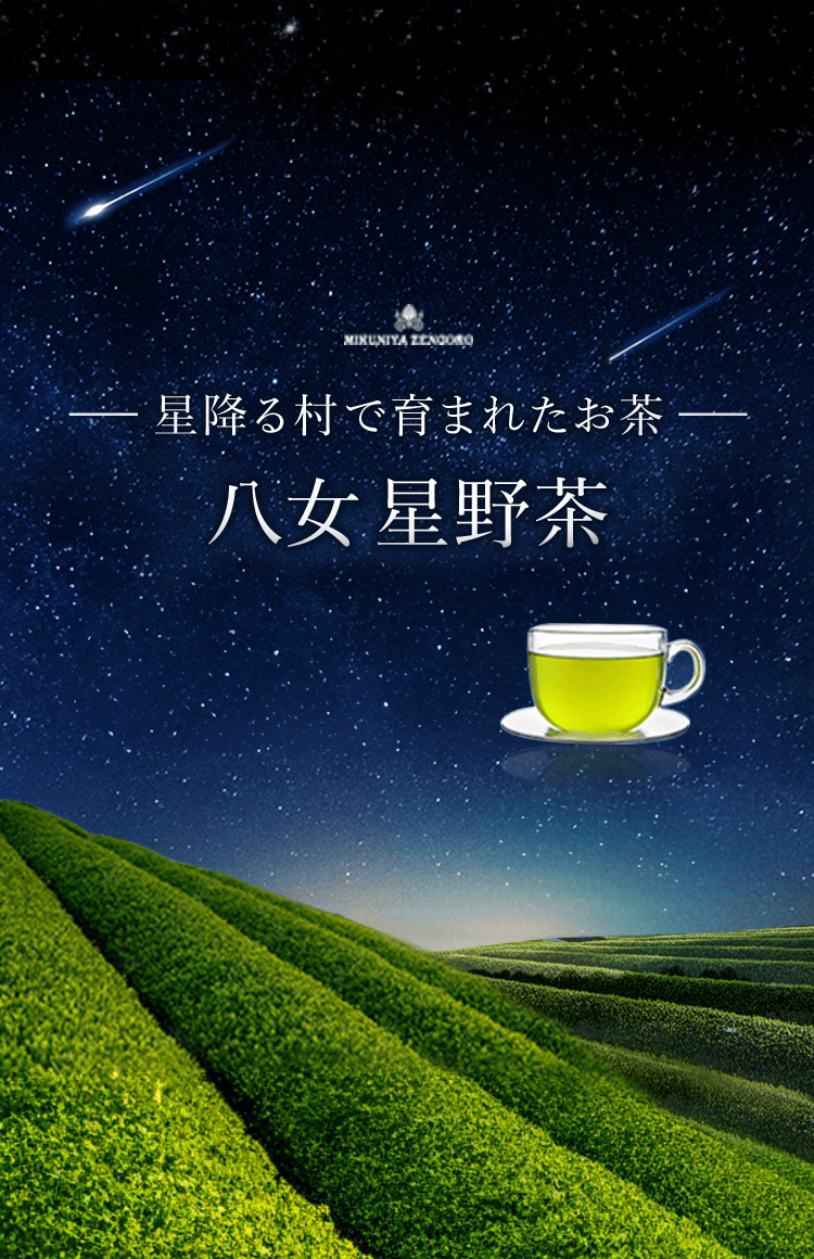 九州の茶どころで育まれた「八女 星野茶」の販売を開始しました