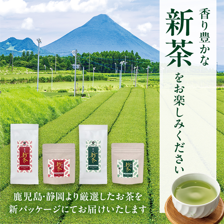 2026 新茶