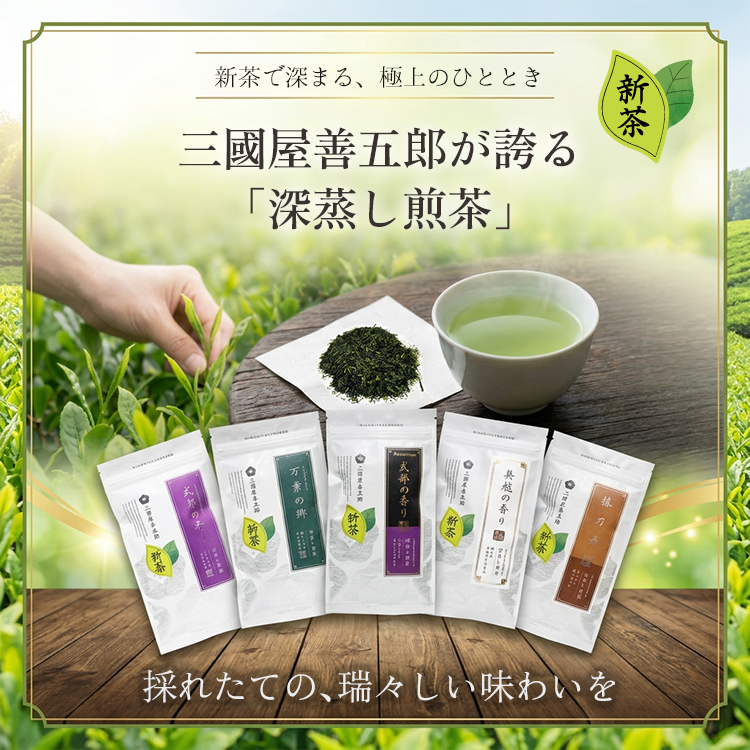 2026新茶-深蒸し煎茶