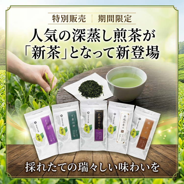 2026新茶-深蒸し煎茶