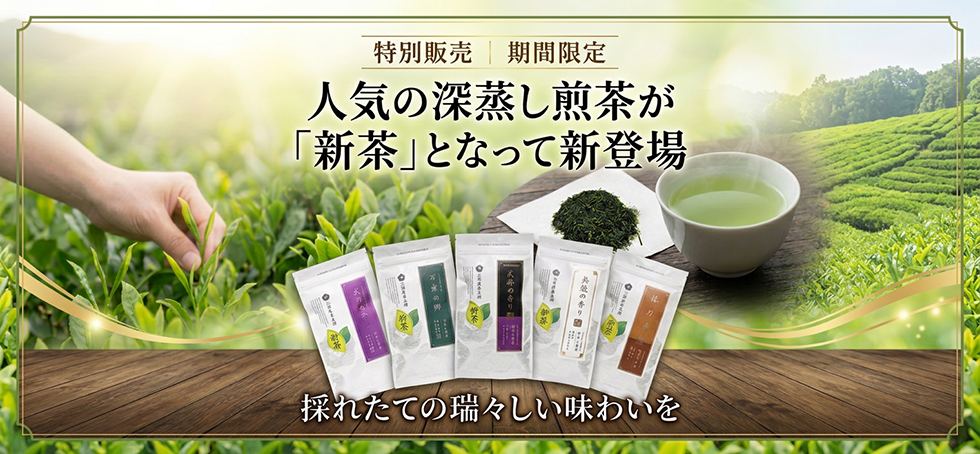 2026新茶-深蒸し煎茶