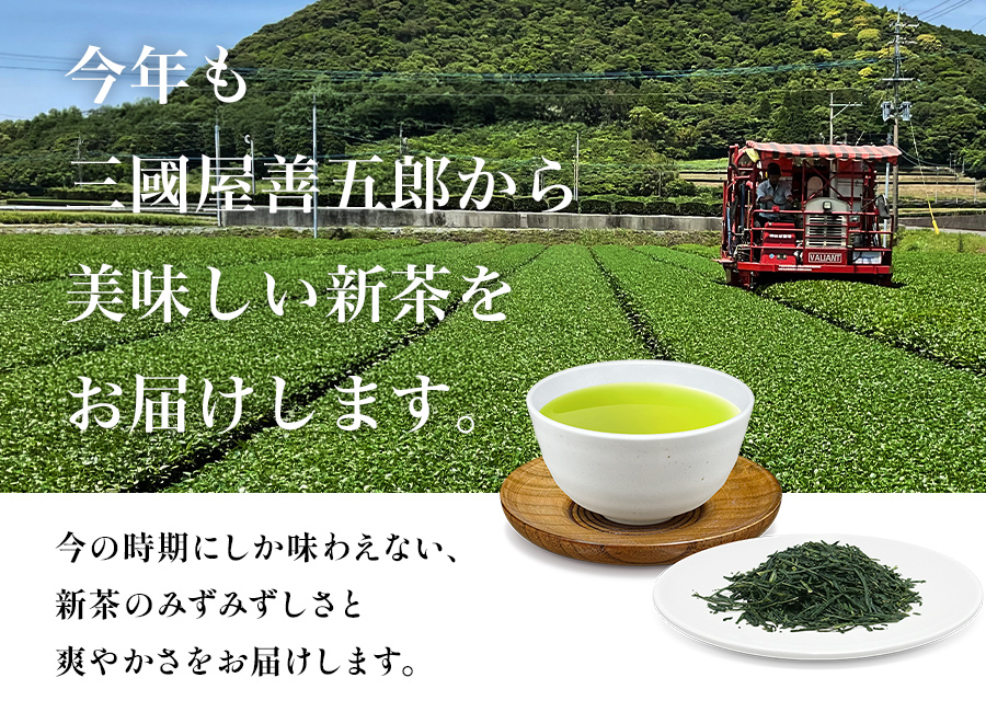 お待たせしました。三國屋善五郎、今年の新茶です。
