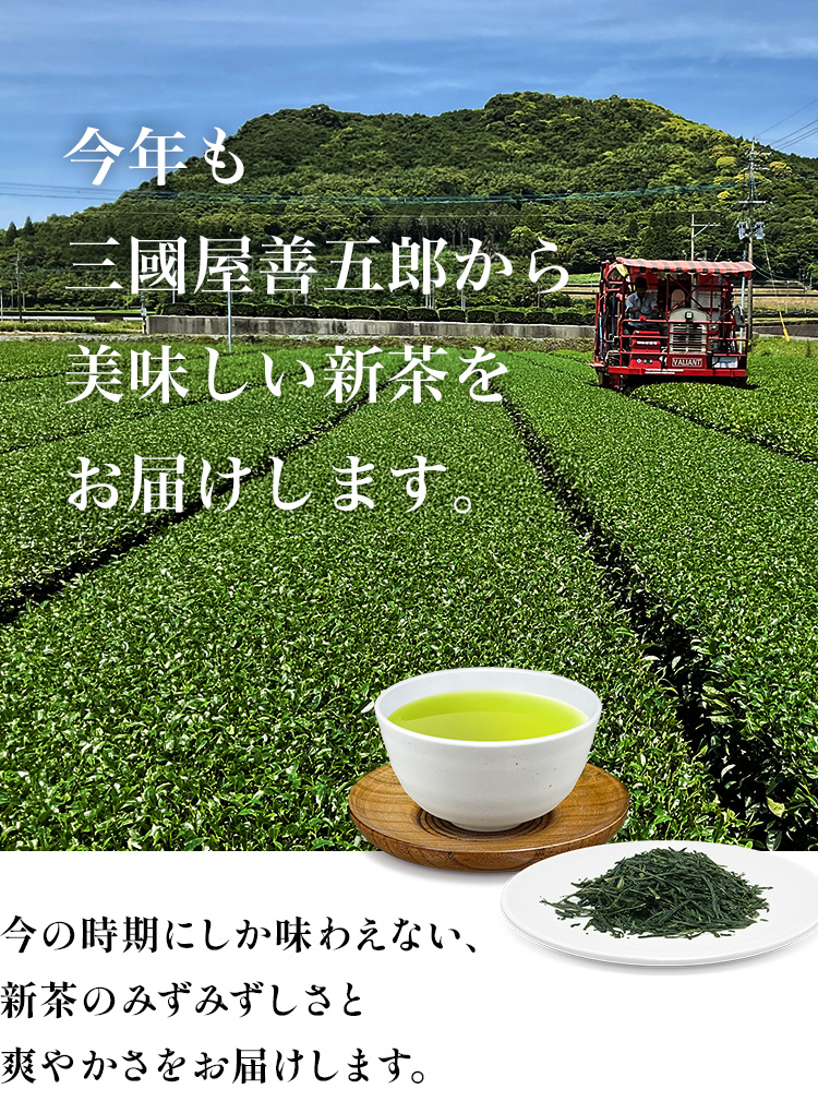 お待たせしました。三國屋善五郎、今年の新茶です。